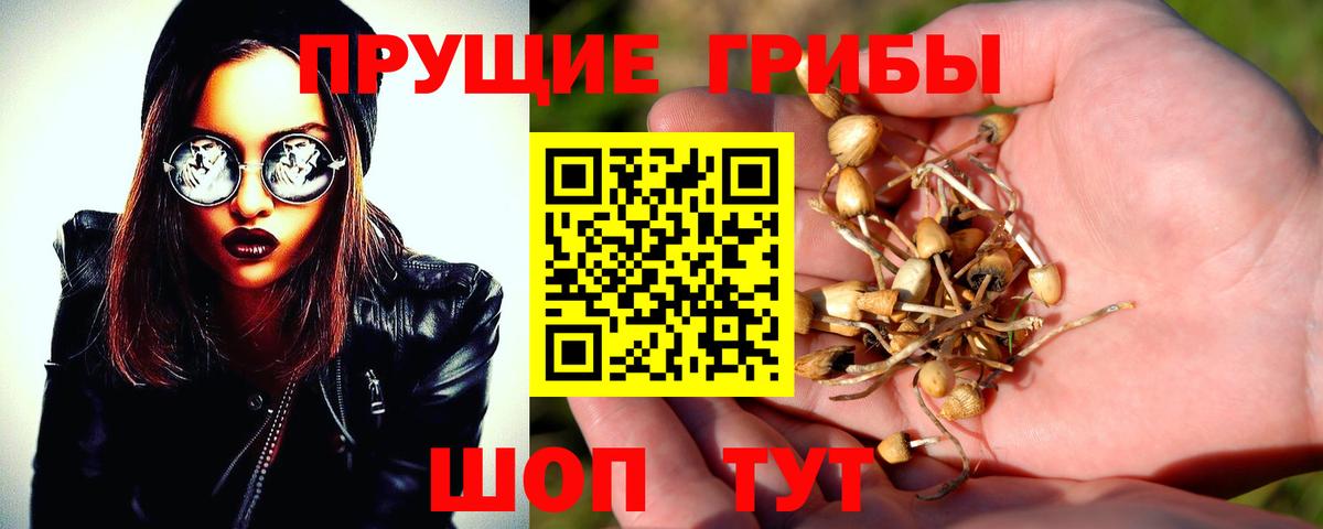 Рубцовск  Галлюциногенные грибы MAGIC MUSHROOMS  Вход с VPN  Псилоцибиновые грибы Cubensis 